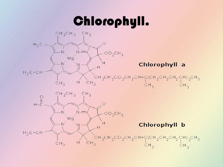 is anthocyanin polar why is xanthophyll so polar